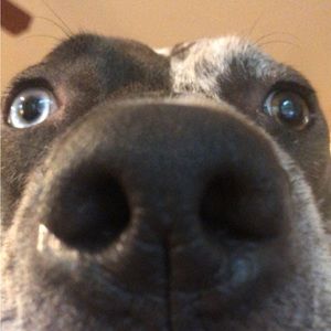 Meet your Posher, Johan